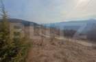Teren extravilan, 12000 mp, curent com. Ramet - 7