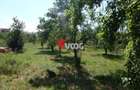 Teren intravilan | 2.810 mp|18ml|Zona Fratelia| - 7