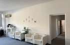 MÂNTULEASA | VILĂ EXCLUSIVISTĂ ÎN CENTRUL BUCUREȘTIULUI – 1.100.000 € - 44