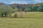 Teren la pădure, panoramic dealuri si păduri, curent si asfalt - 2