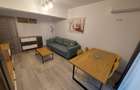 Penthouse-apartament cu 2 camere+terasa+parcare+boxa in Tatarasi-Doi Baieti,bloc - 3