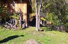 Teren extravilan in localitatea Bulz - 10