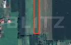 Teren cu nuci, 5.400mp, zona - Decebal, Comuna Vetiș - 1