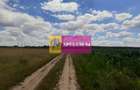 Teren 715mp în Snagov lângă Equestria - 3
