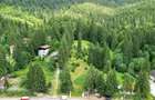 Teren Intravilan Predeal - Acces direct DN - Priveliste deosebita - 2