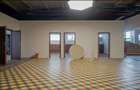 Spațiu Comercial de Închiriat - 2