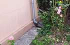 Casa-3 camere în cartierul N.Titulescu, teren 240mp, liberă, toate utilitățile - 10