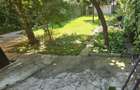 Apartament cu 200 mp curte - 8