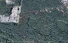 46644 mp teren in Padurea Baneasa proiect exclusivist - 3