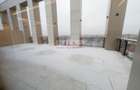 Innhiriere Penthouse Iancu Nicolae Gradina Zoologica - 7