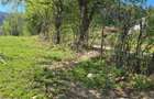 Teren deosebit - 1500 mp, Poiana Angelescu, Str. Livezii - 9