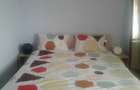 Apartament 3 camere zona Bd Independentei - 3