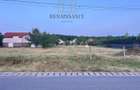 Dumbravita Teren Intravilan 1466mp Front 29m | Langa Padure - 1