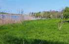 Teren intravilan de vânzare – Grădiștea, Ilfov, Aleea Primăriei - 9