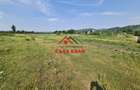 Teren intravilan in Campina, 7500mp--35e - 7