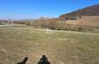 Teren 4 362 Mp Intravilan de Vanzare, Str Caprioarei, Sangeorgiu de Ms - 8