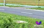 Oportunitate Teren Intravilan 9000mp-Turnisor - 5