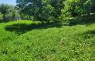 Teren intravilan 960 mp, zona Hemeius - 10