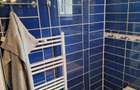 Regim hotelier, 2 camere, Micro 17, 200 lei/noapte - 9