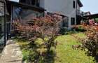 Casa ultrafinisata in mijlocul naturii, gradina amenajata, Gilau - 1