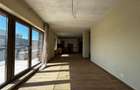 Apartament Tip Penthause 3 camere,103 mp + 2 terase ,situat pe strada Borhanciul - 4