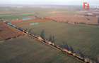 Teren extravilan arabil 10.707 mp - aproape de centura Timisoara Sud - 1