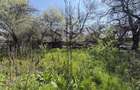 Teren 1047 mp + casă | deschidere DN | Lunca Corbului - 5