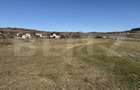 Teren intravilan in localitatea Hereclean in suprafata de 5800 mp - 6