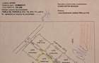 Teren Domnesti | Soseaua Curtea Domneasca | 1060 Mp-intravilan | Lot 530 MP - 1