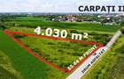 Investitie | Teren 4.030 m² in Satu Mare | Amatiului - Drum asfaltat - 3