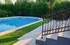 VILA IMPRESIONANTA CU ACCES LA LAC si PISCINA - 23