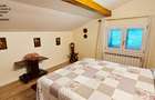 Proprietate deosebita com.D-va Rosie, Casa P+M si 1683 mp teren - 13