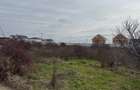 Canal/apa, asfalt,gaze, deschidere 40m, limita sect 5 - 6