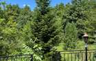Duplex, Valenii de Munte, Drajna de Sus