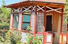 Casa si teren 3567 mp cu piscina, livada si helesteu – Corlatesti - 6