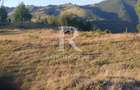 Teren Intravilan | 3.000 mp | Gârda de Sus | Alba | - 5