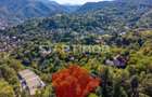 Teren intravilan zona Schei Brasov - 15