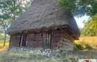 Vanzare casa cu 116.445 mp teren in Muntii Apuseni -Mogos - 2