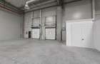 Drumul Intre Tarlale - A2- Palady depozit farma, produse alimentare, - 13