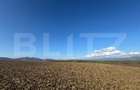 Teren extravilan agricol 5700 mp, Cristur - 2