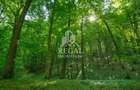 PRET NOU! Teren (padure) intabulat – 11.011 mp în zona Hașdat–Chizid - 1