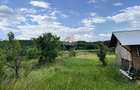 Teren intravilan 8.774 mp cu deschidere la pădure / Măres, Albota - 5