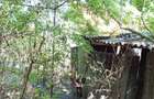 Iam, Casa 5 Camere, Gospodarie, 1439mp Teren, Usor Negociabil - 11