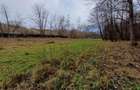 Resita, Teren Drept Intravilan, Langa Prau si Drum, Parcelabil, 4500 Mp., 15 Eur - 6