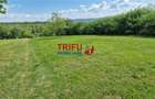 Teren intravilan de vanzare zona Schit - 9