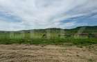 Hala, 230mp , zona Sud - 2