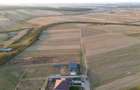 Teren intravilan de vanzare in Cordau , jud. Bihor