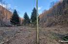 Teren Intravilan de Vânzare – 3279 MP – Coada Lacului Tarnița - 2