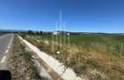🌿 Teren 10.000 mp, Șura Mică – Ocna Sibiului | Investiție, COMISION 0% - 1