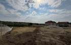 TEREN INVESTITIE | PANORAMA | 4.350 MP | SAUAIEU | BIHOR - 4